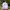Dress Kids white pink photo 1