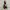 Luxury Fairy Prom dress Wanita multicolor black photo 1