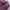 GAP Us Army Flight jacket photo 8