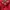 FILA RED POLO SHIRT | KAOS | NM18 photo 3