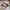 Nike Casual Sneakers Wanita multicolor burgundy photo 1
