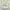 Lolita Fairy Summer dress Wanita pink blue photo 1