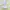Lolita Fairy Summer dress Wanita pink blue photo 6