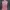 [nn] Dress Wanita Pink Pastel Cowl NeckSleeveless Midi Dress photo 2