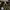 Vintage Streetwear Pria green photo 5