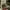 Vintage Streetwear Pria green photo 1