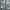 Superdry Arctic Print Hooded Windcheater photo 7