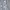 Superdry Arctic Print Hooded Windcheater photo 2