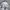 Superdry Arctic Print Hooded Windcheater photo 5