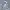 Superdry Arctic Print Hooded Windcheater