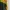 Blackyak Sportswear Track jacket Pria blue yellow photo 2