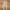 DICKIES WP810BT STREETWEAR SKINNY FIT STRAIGHT KHAKI MEXICO  photo 3