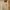DICKIES WP810BT STREETWEAR SKINNY FIT STRAIGHT KHAKI MEXICO  photo 2