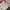 Cath Kidston London Tote Bag photo 10