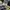 Burberry London Not Celine Chanel Ysl Y3 Adidas Nike Uniqlo photo 5