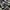 Burberry London Not Celine Chanel Ysl Y3 Adidas Nike Uniqlo photo 4