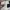 Dickies Vintage Streetwear Casual pants Pria blue photo 3