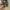 Casual Sandals & slide Pria green photo 7