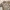Vintage Casual Casual shirt Pria white tan photo 3