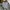 MEDM Denim baggy graffiti Fursten japanese photo 8