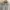 Casual Windbreaker Pria gray cream photo 3