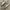 Massimo Dutti Casual Casual shoe Pria white gray photo 1