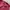 Russell Athletic Streetwear Y2K Hoody Pria burgundy photo 2