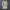 Cottagecore Coquette Prom Dress Wanita Tan Cream