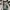 MONTBELL STROM PARKA JACKET GORPCORE photo 2