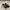 Bally Minimalist Casual Heels Wanita brown photo 3