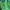 Nike Sportswear Sneakers Pria green photo 3