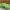 Nike Sportswear Sneakers Pria green photo 1