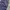 Dickies Y2K Skater Pria navy photo 1