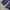 Dickies Y2K Skater Pria navy photo 7