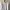 Calvin Klein Jeans Long Sleeve Polo Shirt – White