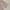 Y2K Coquette Cami top Wanita cream photo 4