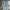 Celana Panjang Ripped Jeans in Soft Blue Hipandtell Ripped J photo 2