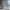 Celana Panjang Ripped Jeans in Soft Blue Hipandtell Ripped J photo 3
