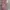Its End With Us Series by Colleen Hoover - Bundle  photo 2