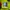 Ortuseight Hyperglide 4.0 photo 4