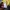 Gramicci Streetwear Minimalist T-shirt Pria yellow photo 4
