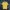 Gramicci Streetwear Minimalist T-shirt Pria Yellow