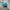 Adidas Adizero EVO SL Turquoise photo 6