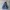 Champion Vintage Hoody Pria navy photo 4