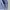 Champion Vintage Hoody Pria navy photo 2