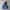 Champion Vintage Hoody Pria navy photo 1