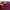 YSL Yves Saint Laurent Maroon Crop Top Luxury photo 7