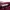 YSL Yves Saint Laurent Maroon Crop Top Luxury photo 8