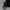Dickies Bomber Jacket Black photo 5