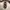Vintage Indie Midi dress Wanita brown photo 1
